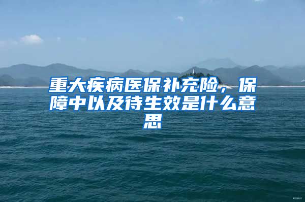 重大疾病医保补充险，保障中以及待生效是什么意思