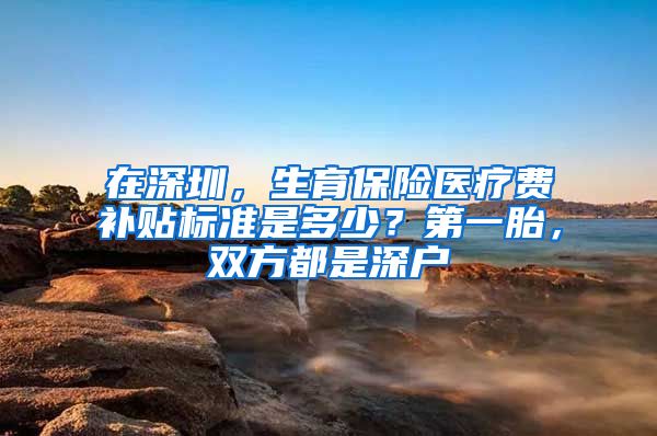 在深圳，生育保险医疗费补贴标准是多少？第一胎，双方都是深户