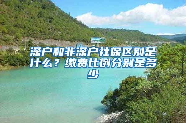 深户和非深户社保区别是什么？缴费比例分别是多少