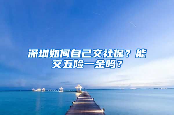 深圳如何自己交社保？能交五险一金吗？