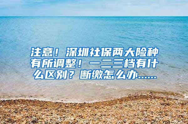 注意！深圳社保两大险种有所调整！一二三档有什么区别？断缴怎么办......