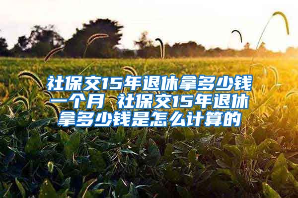 社保交15年退休拿多少钱一个月 社保交15年退休拿多少钱是怎么计算的