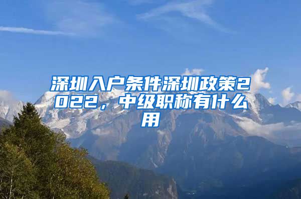 深圳入户条件深圳政策2022，中级职称有什么用