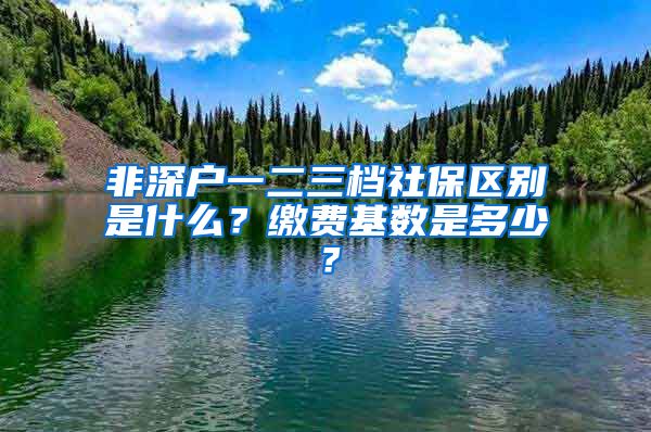 非深户一二三档社保区别是什么？缴费基数是多少？