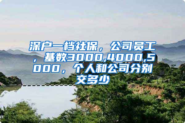 深户一档社保，公司员工，基数3000,4000,5000，个人和公司分别交多少