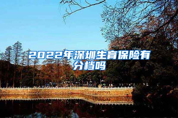 2022年深圳生育保险有分档吗