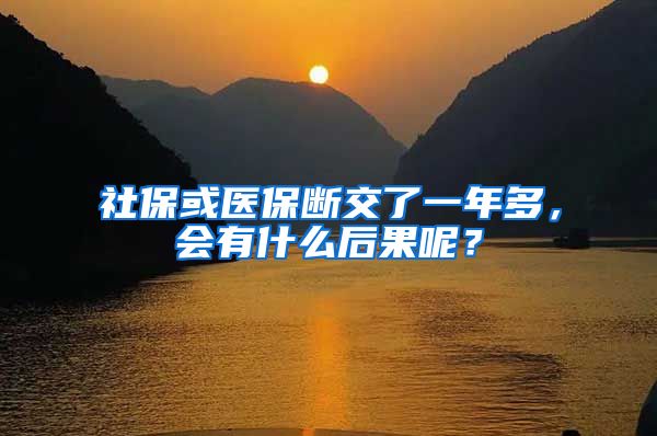 社保或医保断交了一年多，会有什么后果呢？