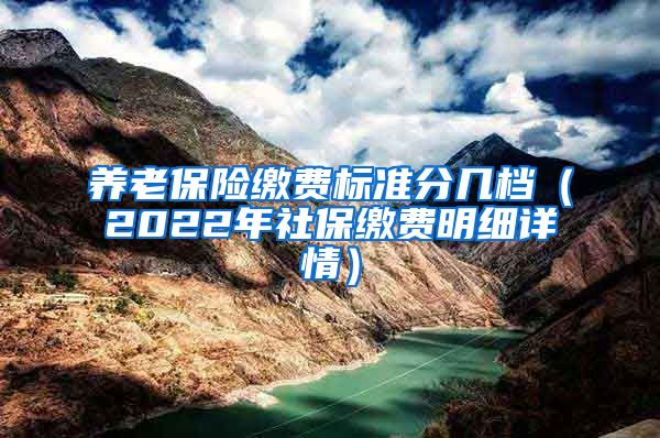 养老保险缴费标准分几档（2022年社保缴费明细详情）