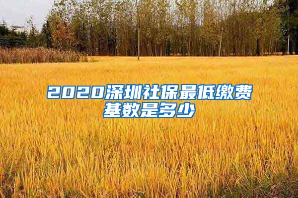 2020深圳社保最低缴费基数是多少