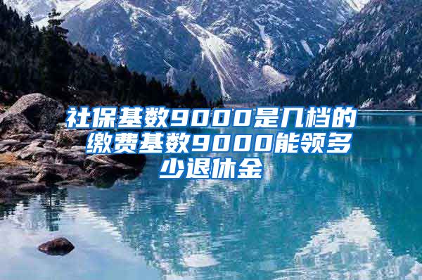 社保基数9000是几档的 缴费基数9000能领多少退休金