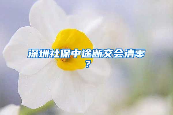 深圳社保中途断交会清零？