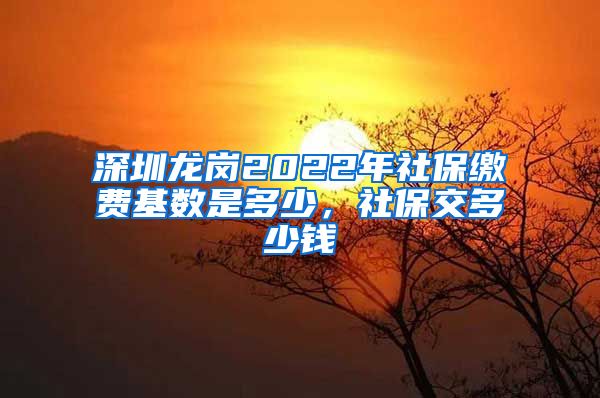 深圳龙岗2022年社保缴费基数是多少，社保交多少钱