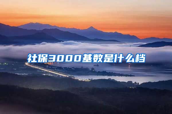 社保3000基数是什么档