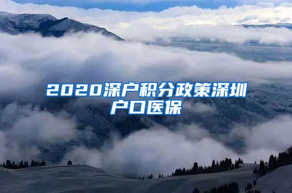 2020深户积分政策深圳户口医保