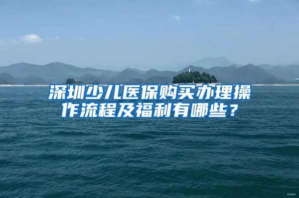 深圳少儿医保购买办理操作流程及福利有哪些？