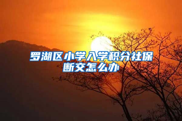 罗湖区小学入学积分社保断交怎么办