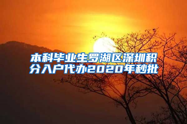 本科毕业生罗湖区深圳积分入户代办2020年秒批