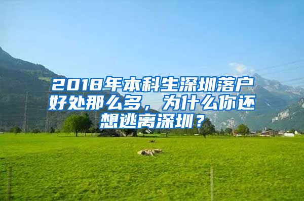 2018年本科生深圳落户好处那么多，为什么你还想逃离深圳？