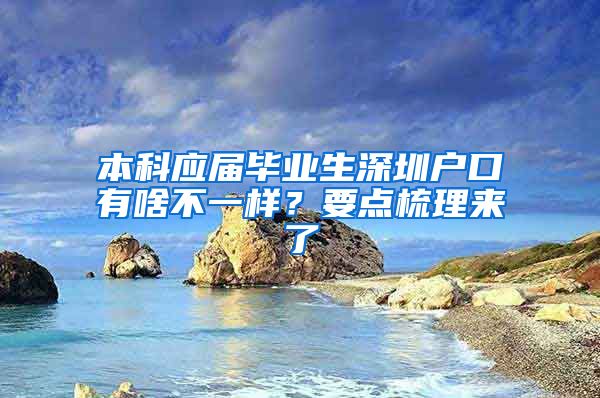 本科应届毕业生深圳户口有啥不一样？要点梳理来了