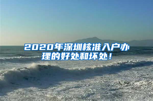 2020年深圳核准入户办理的好处和坏处！