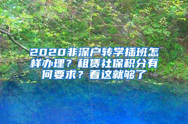 2020非深户转学插班怎样办理？租赁社保积分有何要求？看这就够了