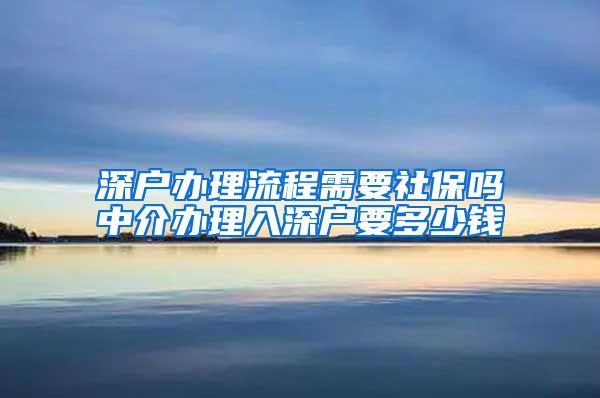 深户办理流程需要社保吗中介办理入深户要多少钱