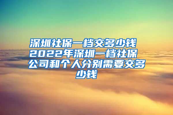 深圳社保一档交多少钱 2022年深圳一档社保 公司和个人分别需要交多少钱