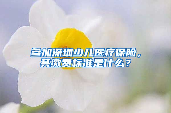 参加深圳少儿医疗保险，其缴费标准是什么？