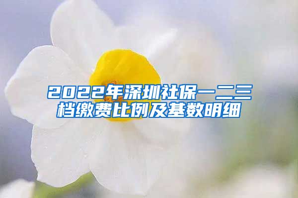 2022年深圳社保一二三档缴费比例及基数明细