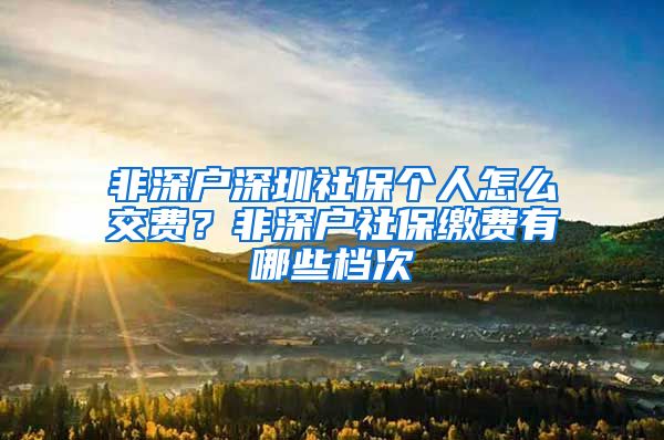 非深户深圳社保个人怎么交费？非深户社保缴费有哪些档次