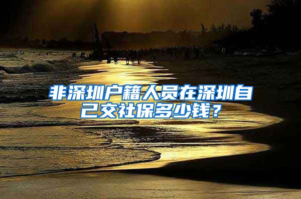 非深圳户籍人员在深圳自己交社保多少钱？