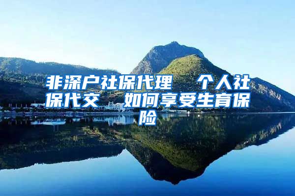 非深户社保代理  个人社保代交  如何享受生育保险