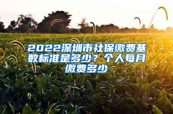 2022深圳市社保缴费基数标准是多少？个人每月缴费多少