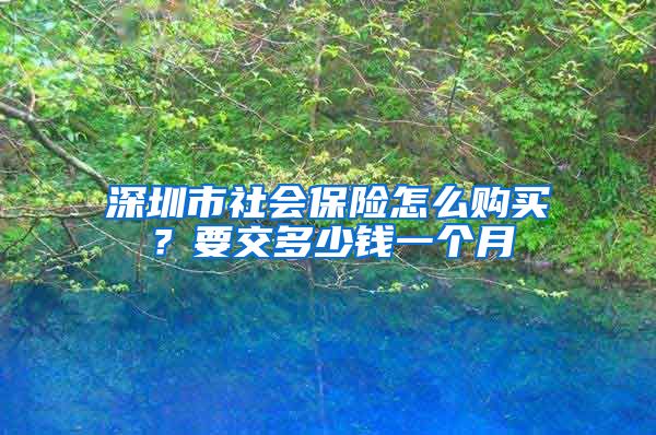 深圳市社会保险怎么购买？要交多少钱一个月