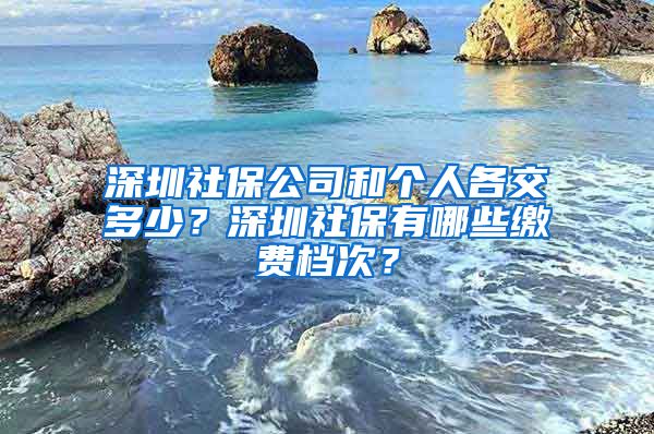 深圳社保公司和个人各交多少？深圳社保有哪些缴费档次？