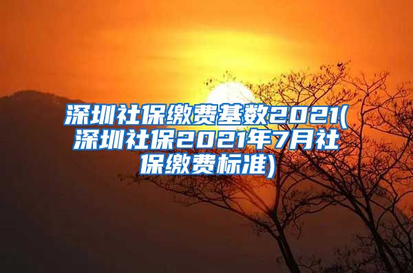 深圳社保缴费基数2021(深圳社保2021年7月社保缴费标准)