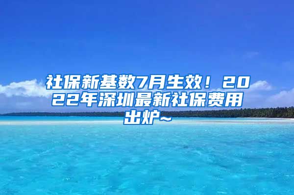 社保新基数7月生效！2022年深圳最新社保费用出炉~