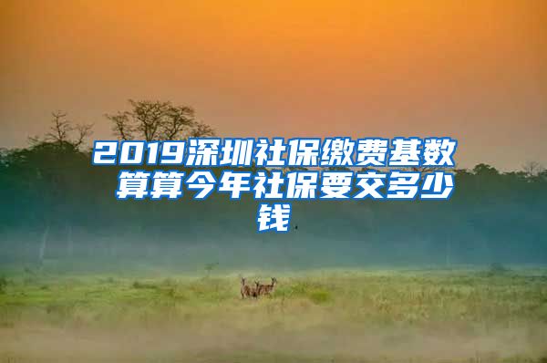 2019深圳社保缴费基数 算算今年社保要交多少钱