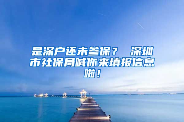 是深户还未参保？ 深圳市社保局喊你来填报信息啦！