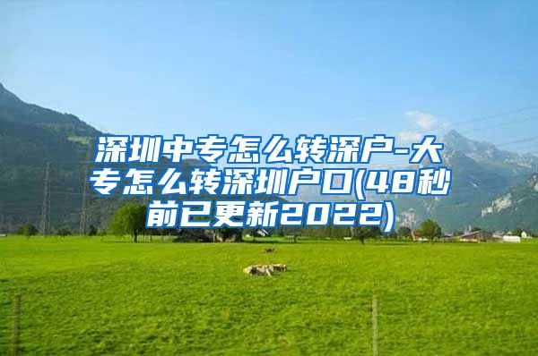 深圳中专怎么转深户-大专怎么转深圳户口(48秒前已更新2022)