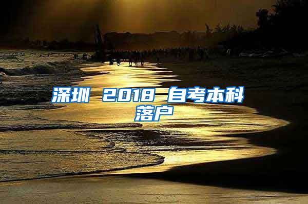 深圳 2018 自考本科 落户