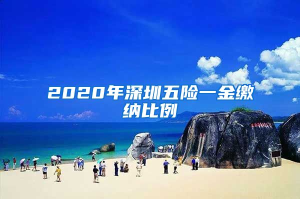 2020年深圳五险一金缴纳比例