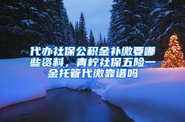 代办社保公积金补缴要哪些资料，青柠社保五险一金托管代缴靠谱吗