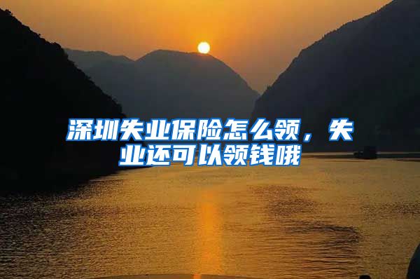 深圳失业保险怎么领，失业还可以领钱哦