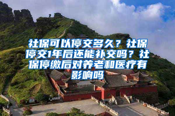 社保可以停交多久？社保停交1年后还能补交吗？社保停缴后对养老和医疗有影响吗