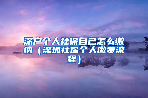 深户个人社保自己怎么缴纳（深圳社保个人缴费流程）