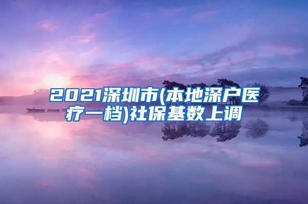 2021深圳市(本地深户医疗一档)社保基数上调