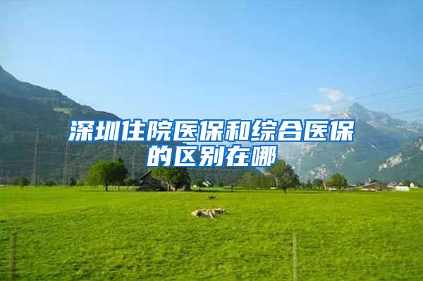 深圳住院医保和综合医保的区别在哪