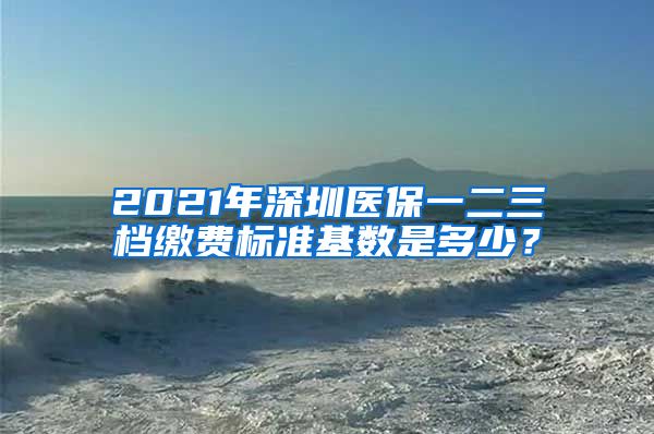 2021年深圳医保一二三档缴费标准基数是多少？