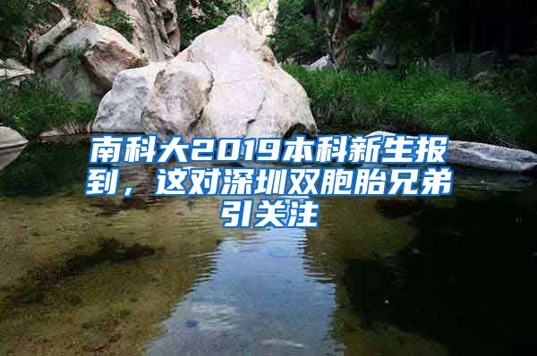 南科大2019本科新生报到，这对深圳双胞胎兄弟引关注